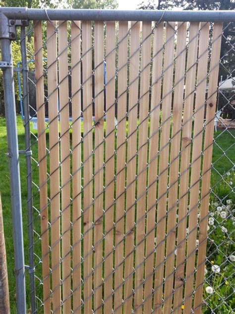 cedar fence slats chain link