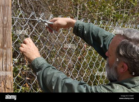 chain link fence hog rings